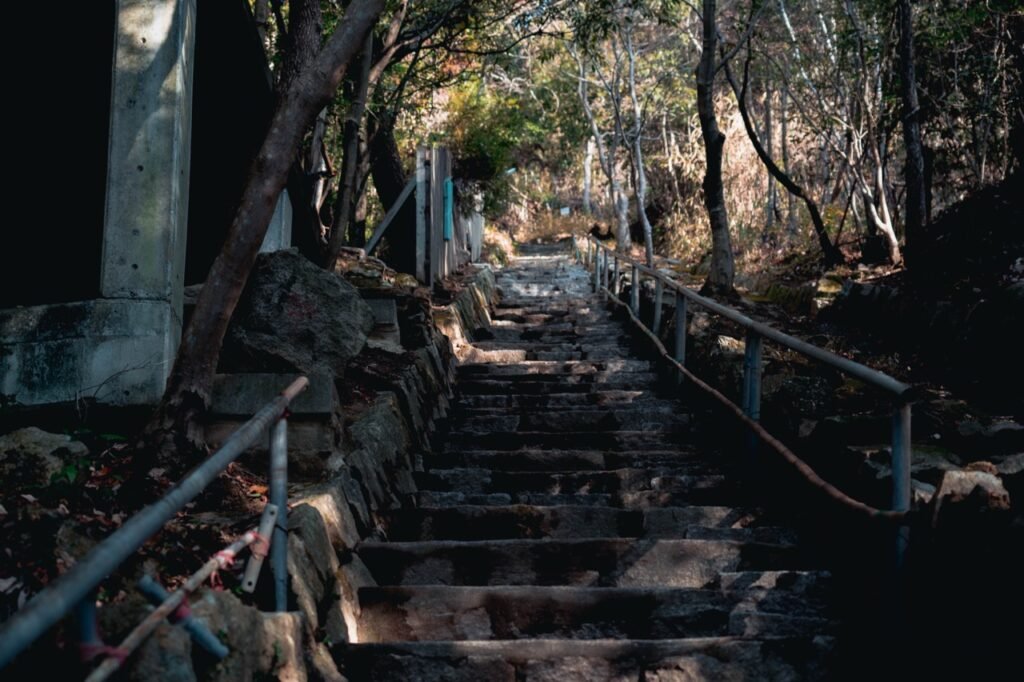 Stone staircase lined with tall cedar and pine trees, ascending steeply toward the temple grounds in a lush, forested environment.